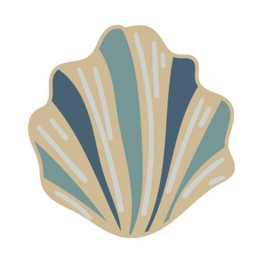 Beyaz arka planda tek bir renkli deniz kabuğunun vektör çizimi. Kıyı grafik kompozisyonları için zarif çizim.