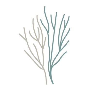 Düz vektör biçiminde el çizimi deniz çimi grafik elementi.