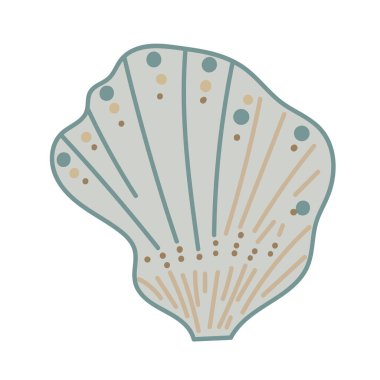 Beyaz arka planda tek bir renkli deniz kabuğunun vektör çizimi. Kıyı grafik kompozisyonları için zarif çizim.