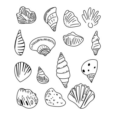 Taslak deniz kabuklarından oluşan vektör seti en düşük çizgi sanat tarzında çizilmiş. El çizimi çizimi çizimler.