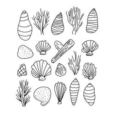 Taslak deniz kabuklarından oluşan vektör seti en düşük çizgi sanat tarzında çizilmiş. El çizimi çizimi çizimler.