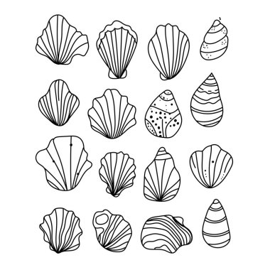 Taslak deniz kabuklarından oluşan vektör seti en düşük çizgi sanat tarzında çizilmiş. El çizimi çizimi çizimler.