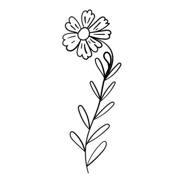 El yapımı çiçek ana hatları modern botanik tasarımları için mükemmel..