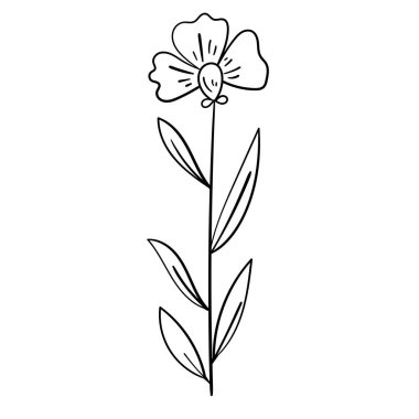 El yapımı çiçek ana hatları modern botanik tasarımları için mükemmel..