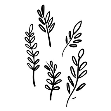 Siyah ve beyaz çiçek elementinin hassas vektör çizimi.