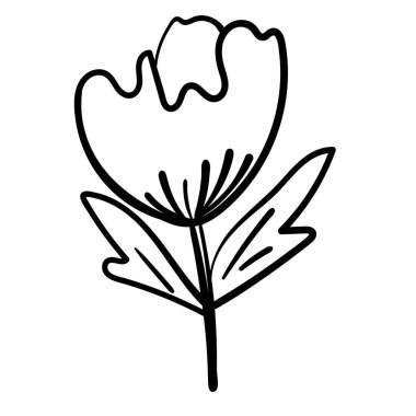 Minimalist vektör çiçekleri düğün ve marka kullanımı için idealdir.