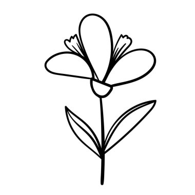 Doğadan esinlenilmiş basitliğe sahip vektör çiçek motifi.