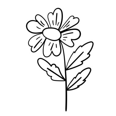 Modern çiçek ana hatları şık, organik görseller için.