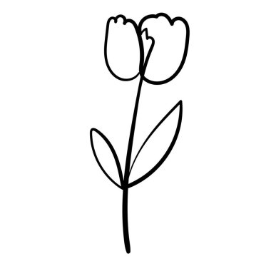 Yüksek çözünürlüklü vektör biçiminde ince çizimler.