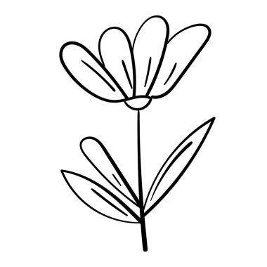 Yüksek çözünürlüklü vektör biçiminde ince çizimler.