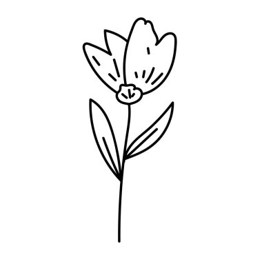 Ayrıntılı vektör çizgilerinde yakalanan çiçek.