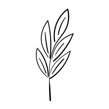 Ebedi doğrusal biçimdeki romantik çiçek çizimleri.