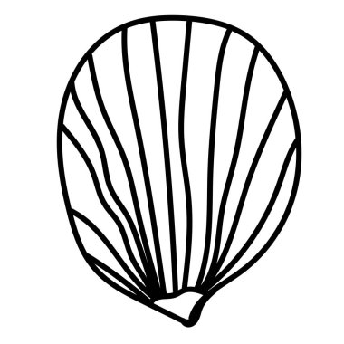 Temiz siyah-beyaz vektör biçiminde el yapımı deniz kabuğu ana hatları.