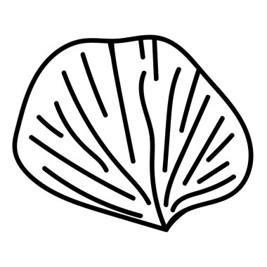 Siyah ve beyaz deniz kabuğu çizimi temiz doğrusal biçimdedir.