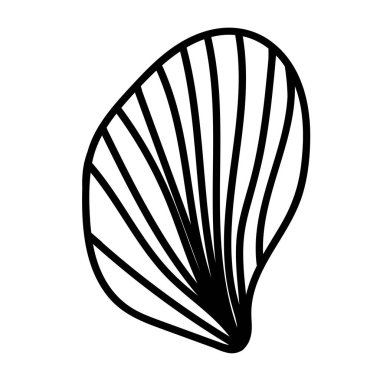 Basit tek renkli bir kabuğun ayrıntılı konturu.