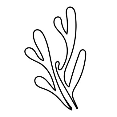 El yapımı vektör biçiminde çizgi sanatı deniz kabuğu.