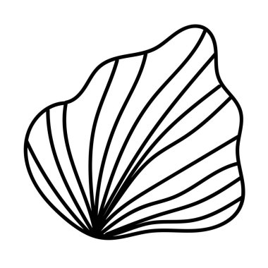 El yapımı vektör biçiminde çizgi sanatı deniz kabuğu.