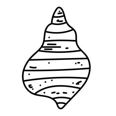 Temiz vektör çizgileri olan organik deniz kabuğu çizimi.