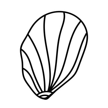 Temiz vektör çizgileri olan organik deniz kabuğu çizimi.