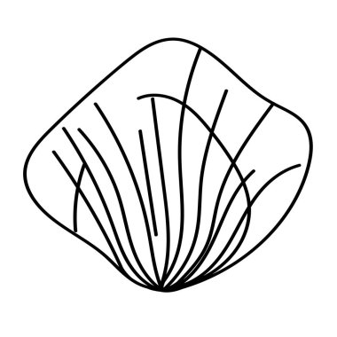 Güzel ve modern çizgileri olan soyut deniz kabuğu çizimi.