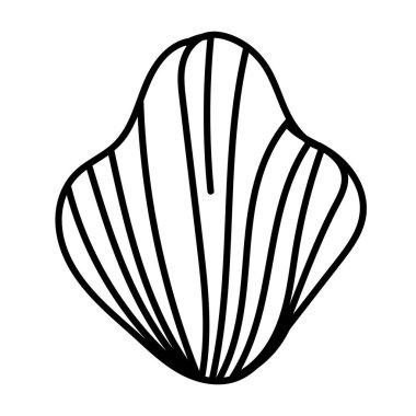 Güzel ve modern çizgileri olan soyut deniz kabuğu çizimi.