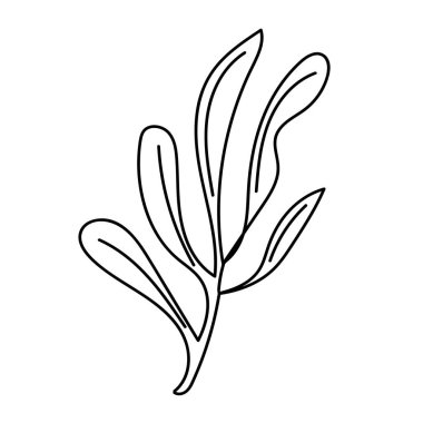 El yapımı deniz kabuğu, temiz siyah-beyaz vektör formatında. Doğa baskıları, markalaşma ve deniz çizimleri için ideal..