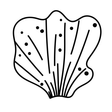 Doğadan esinlenilmiş projeler için bir deniz kabuğunun biçimlendirilmiş taslağı.