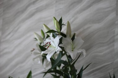 Taze beyaz zambaklı zarif gelin buketi..