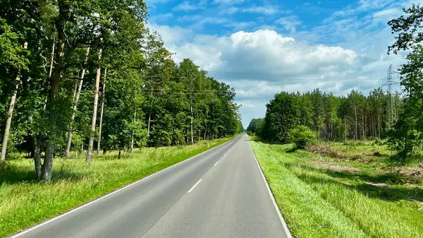 Sakin kır yolu, bulutlu bir gökyüzünün altındaki yemyeşil ormanların arasından esiyor. Doğa severler ve seyahat meraklıları için mükemmel, bu huzurlu sahne bir yaz gününün güzelliğini yakalıyor. Sto için ideal