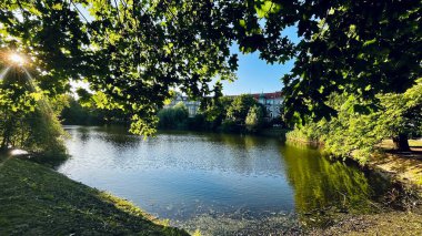 Kumsal, sahil gün batımı. Lake Tree Park yaz günü. Doğa. Duvar kağıdı manzarası