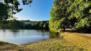 Altın saatler gün batımı ağaçları yaz günü park eder