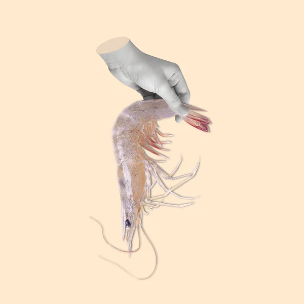 Současná Umělecká Koláž Ruky Držící Krevety Koncept Vaření Jezení Mořských — Stock fotografie