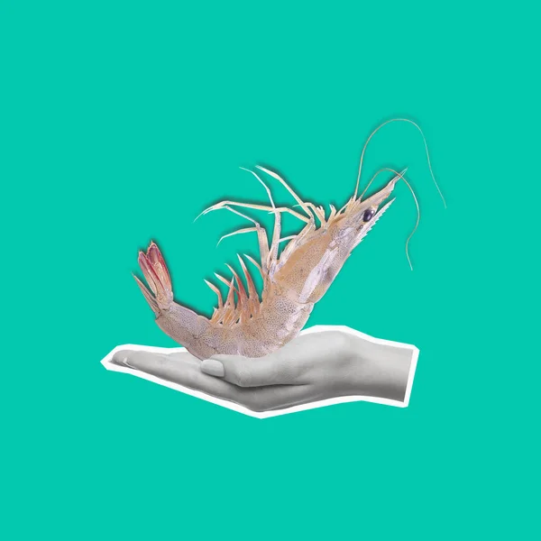 Současná Umělecká Koláž Ruky Držící Krevety Koncept Vaření Jezení Mořských — Stock fotografie
