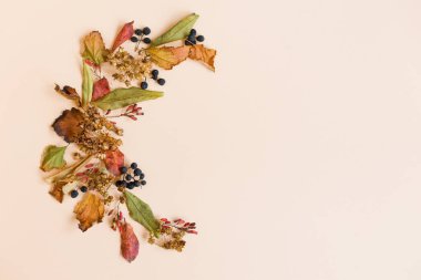 Sonbahar yaprakları ve böğürtlenli pankart. Bej arka planda kuru yapraklar ve böğürtlenler fotokopi alanı. Sonbahar konsepti