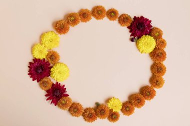 Turuncu kasımpatı yuvarlak çerçevesi, bej arkaplanda, kopyalama alanı var.