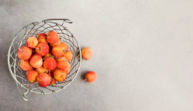 Fotokopi alanı olan gri bir arka planda, klasik metal sepetli küçük kırmızı yengeç elmalarıyla pankart