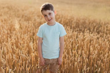 Gün batımında buğday tarlasında beyaz bir çocuk. Tahıl toplama mevsimi