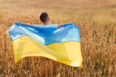 Boy with ukrainian flag in wheat field. Ukraine independence day concept. Stop war in Ukraine clipart