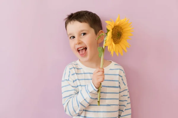 Caucasian Boy Beautiful Sunflower Pink Background Copy Space — Zdjęcie stockowe