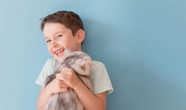 Caucasian Boy Grey British Cat Blue Background Copy Space — Stockfoto