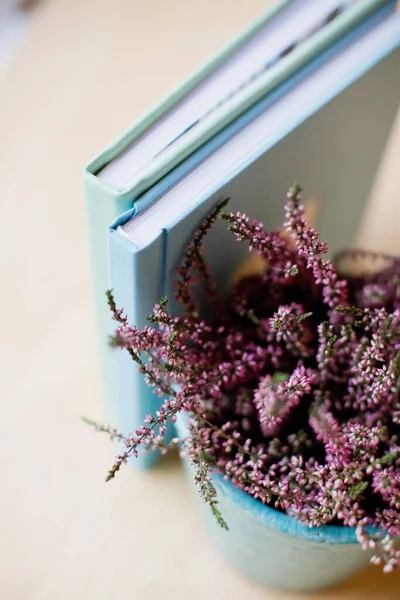 Heather Flowerpot Blue Books Light Background — Fotografia de Stock
