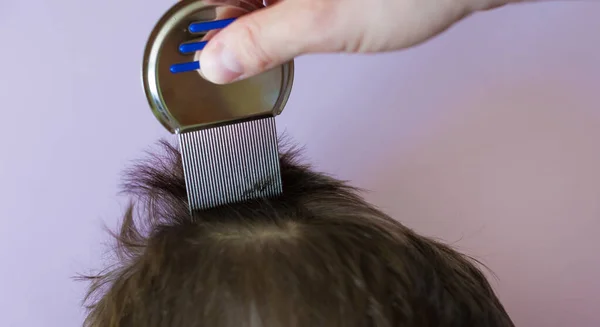 Lice Comb Brunette Hair Violet Background Copy Space Man Using 免版税图库图片
