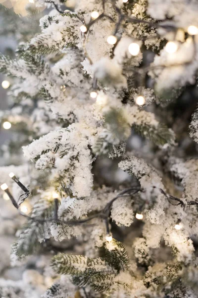 Kerstbomen Met Licht Sneeuw Winterbos Met Dennenbomen Besneeuwde Kerstachtergrond — Stockfoto