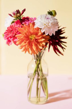 Pembe ve sarı arkaplanda vazoda güzel bir demet yıldız çiçeği, kopyalama uzayı