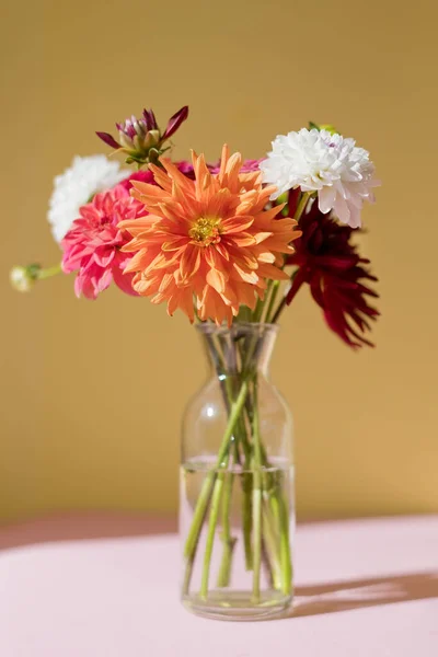 stock image Beautiful bouquet of dahlia in vase on a pink and yellow background, copy space