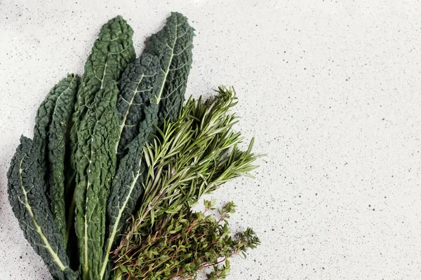 Banner Fresh Black Kale Leaves Rosemary Thyme Concrete Background Copy — Stock Photo, Image