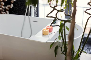 Beyaz banyonun iç tarafındaki bambu bitkisinin yanında küvette pembe ve turuncu soya mumları.