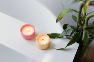 Beyaz banyonun iç tarafındaki bambu bitkisinin yanında küvette pembe ve turuncu soya mumları.