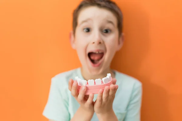 Biały Chłopiec Trzymający Drewniany Model Szczęki Zębami Pomarańczowym Tle Przestrzeń — Zdjęcie stockowe