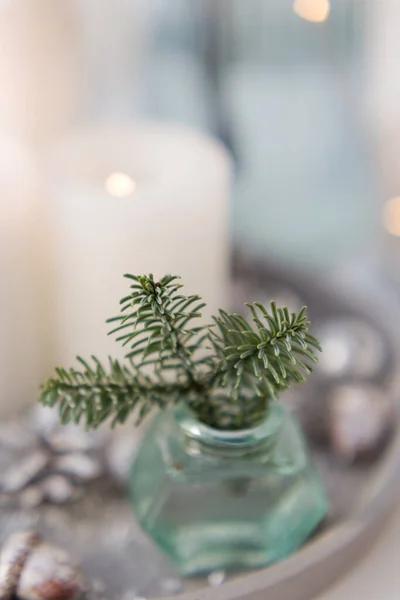 Bouquet of green spruce branches in vase, white burning candles and star decoration at home interior